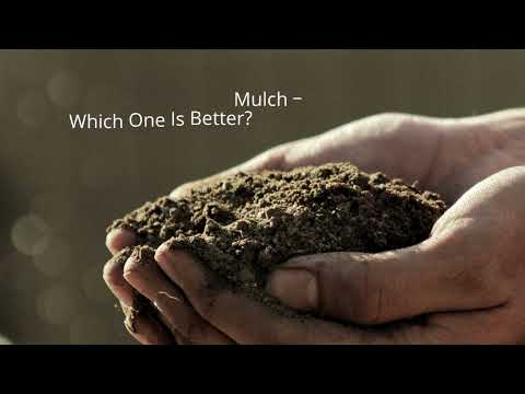 Cypress Mulch vs Cedar Mulch – Which One Is Better