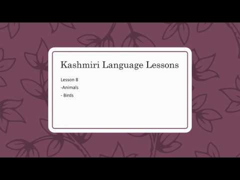 Kashmiri Language Lessons - Lesson 8 - Animals, Birds - Youtube