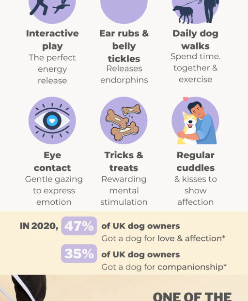 The Benefits Of A Dog'S Unconditional Love | Barc London