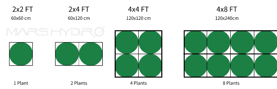 What Size Grow Tent For 4 Plants?