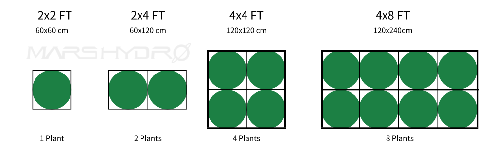 What Size Grow Tent For 4 Plants?