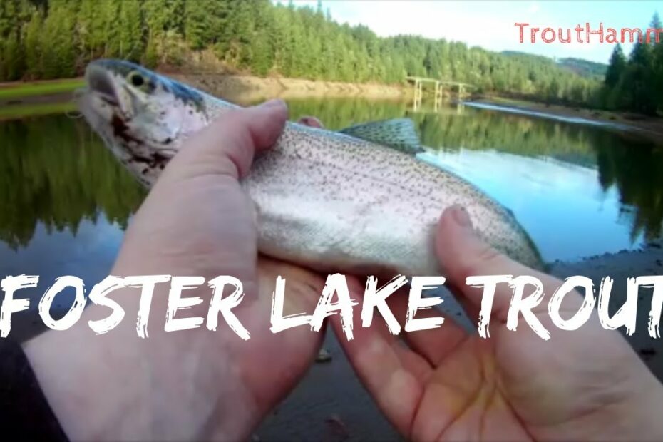 Fishing Foster Lake For Rainbow Trout - Youtube