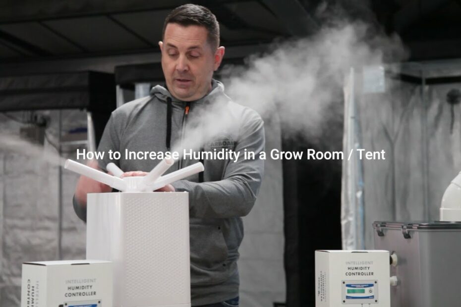 How To Increase Humidity In A Grow Tent - Youtube