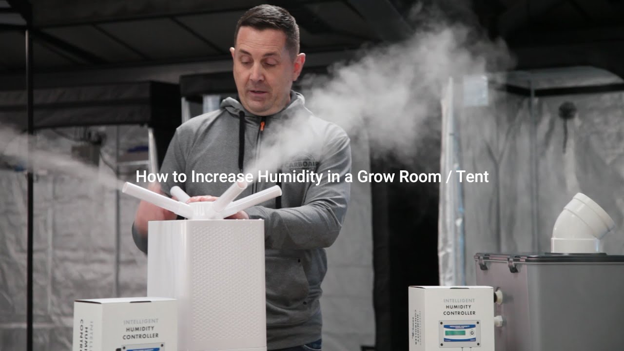 How To Increase Humidity In A Grow Tent - Youtube