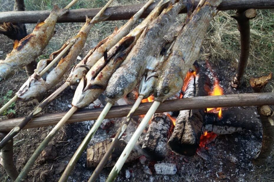 Camp Fire - Catch N Cook Fish - Camping Cooking - Bushcraft - Youtube