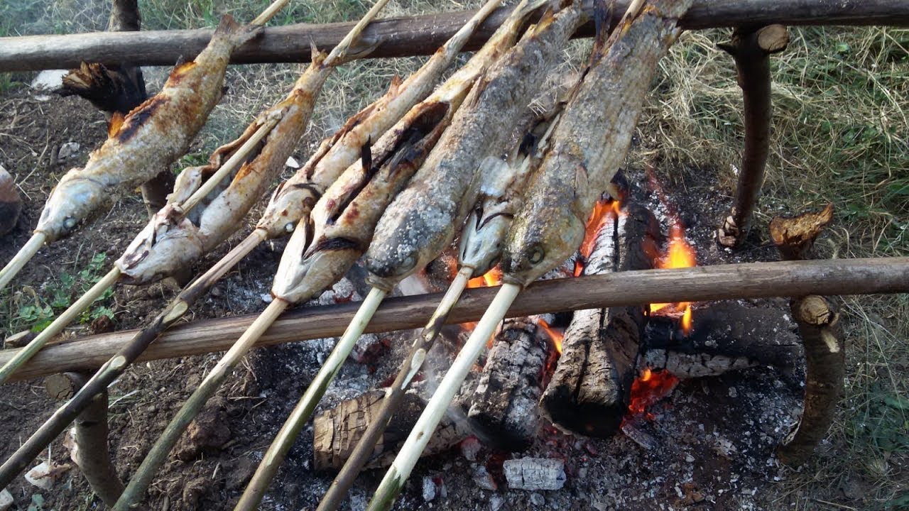 Camp Fire - Catch N Cook Fish - Camping Cooking - Bushcraft - Youtube