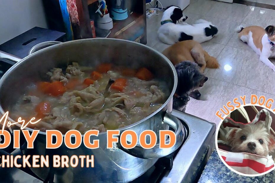 Diy Homemade Dog Food - Chicken Broth - Youtube