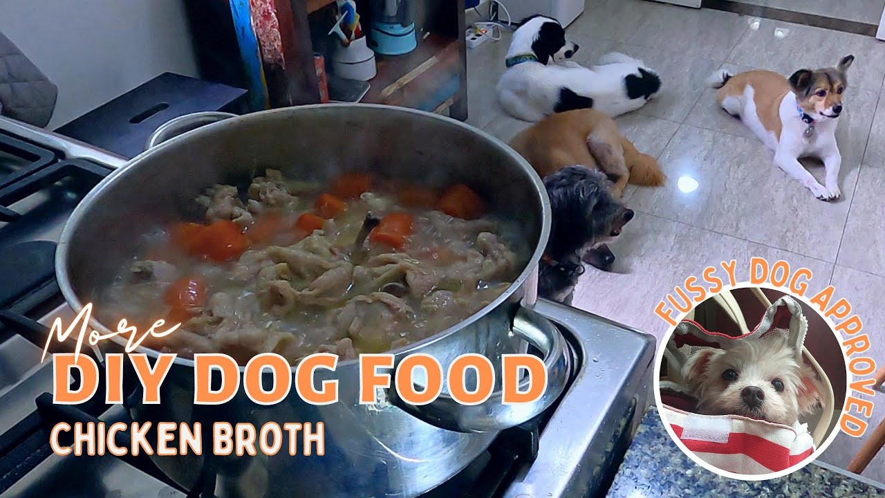 Diy Homemade Dog Food - Chicken Broth - Youtube