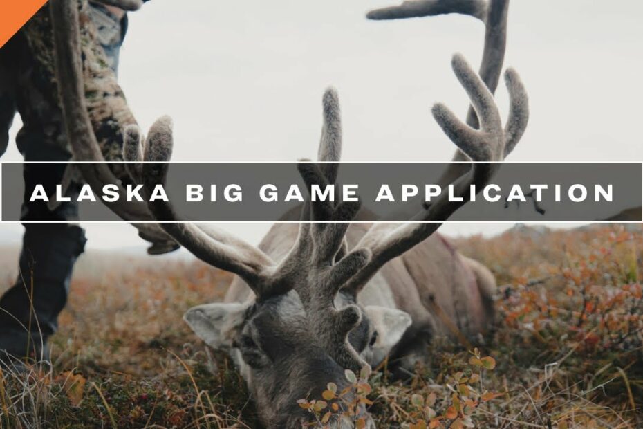 What You Need To Know - Alaska Big Game Permit Application - Youtube