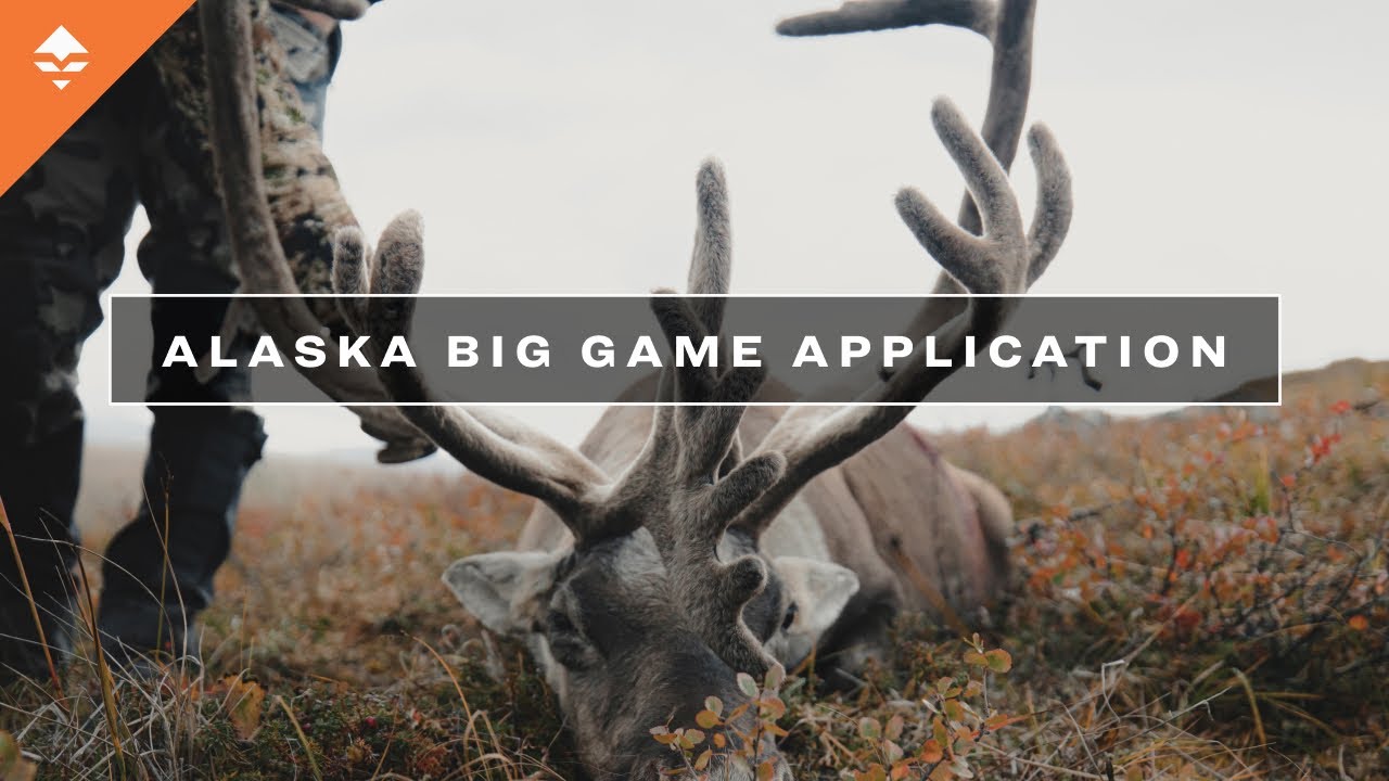 What You Need To Know - Alaska Big Game Permit Application - Youtube