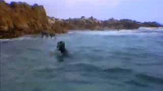 Swimming In Shark Alley 2004 - Youtube