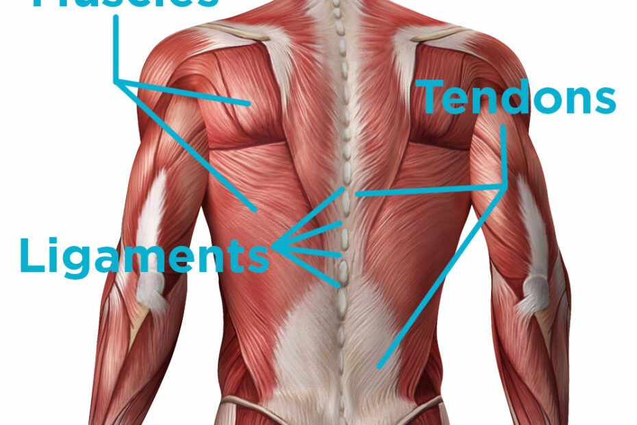 3 Quick Steps To Recover From A Sprained & Torn Back Muscle