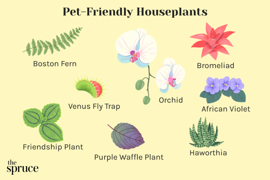 23 Indoor Plants Safe For Cats And Dogs