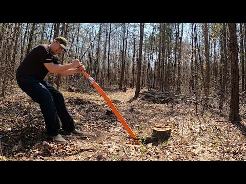 10 Best Ways to Remove Tree Stumps