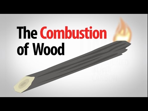 Science Spotlight: The Combustion of Wood