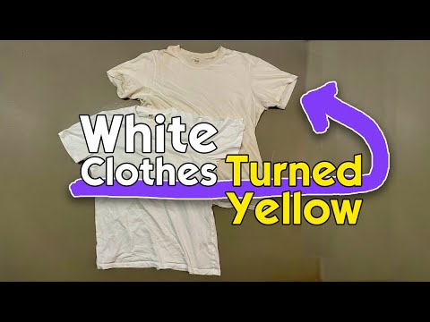White Clothes Turned Yellow? (Here's how to fix them)