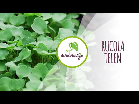 Rucola zaaien | Rucola kweken