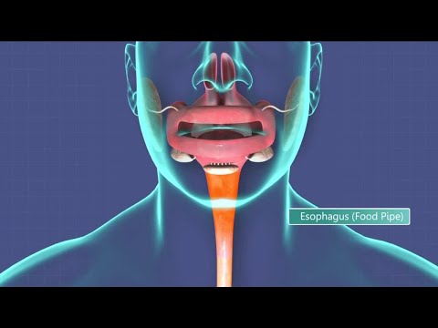 In-depth: Esophageal cancer symptoms to look for and why it kills most who are diagnosed with it