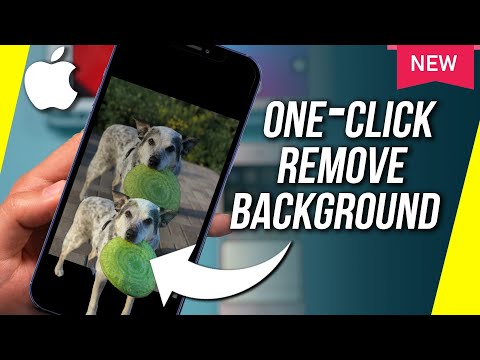 How to Remove Background from a Photo on iPhone - New iOS 16 Update