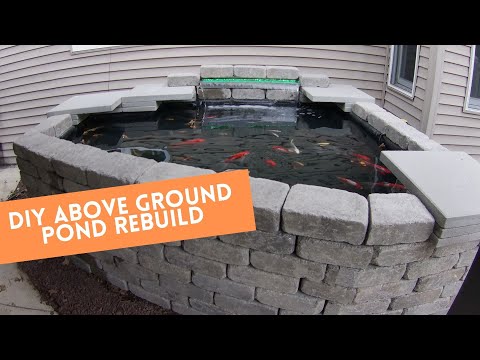 How to build an above ground koi pond.