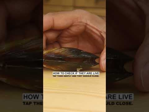 HOW TO CHECK FRESH MUSSELS