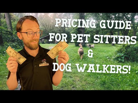 How Much to Charge for Dog Walking & Pet Sitting in 2023!