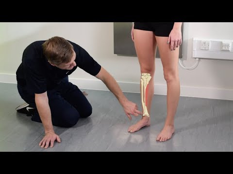 Causes of Shin Pain - Biomechanics Explained