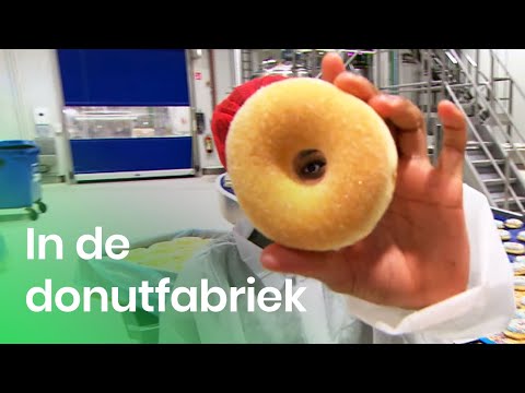 Hoe worden donuts gemaakt? | Doen Ze Dat Zo? | Het Klokhuis