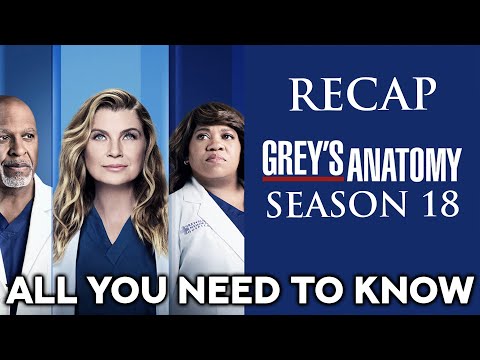 Grey´s Anatomy | Season 18 Recap | All you need to know