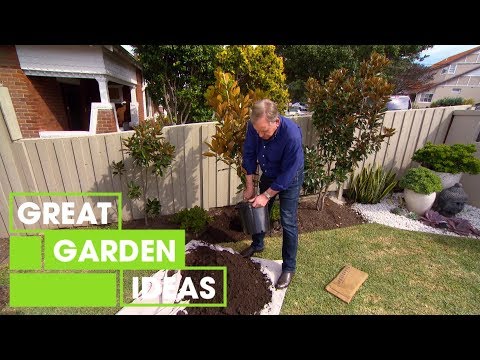 How to Care for Magnolias | Garden | Great Home Ideas