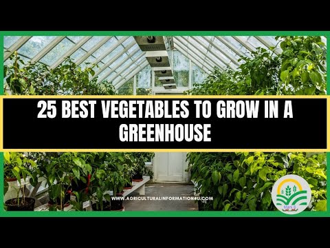 25 Best Vegetable to Grow in a Greenhouse | Greenhouse Vegetables | Greenhouse gardening