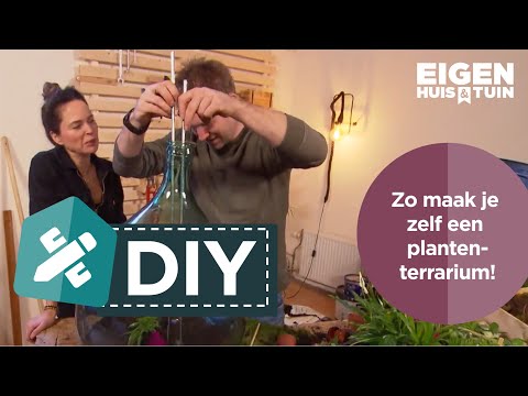 Zo maak je een zelfvoorzienend ecosysteem vol met kamerplanten | DIY | Eigen Huis & Tuin