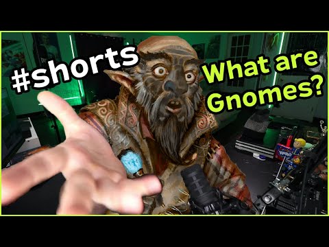 What is a Gnome in D&D?