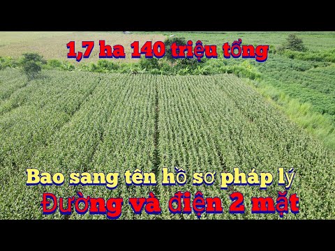 Cần nhượng 1,7 ha 2 mặt đường gần dân đất bằng pháp lý rõ ràng .